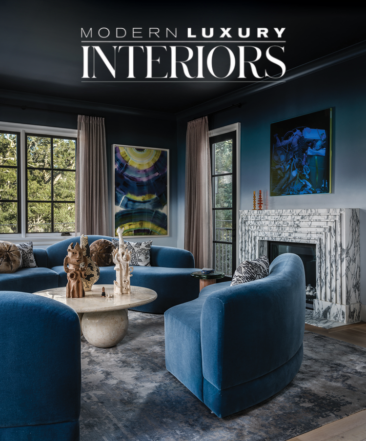 Modern Luxury Silicon Valley Cover